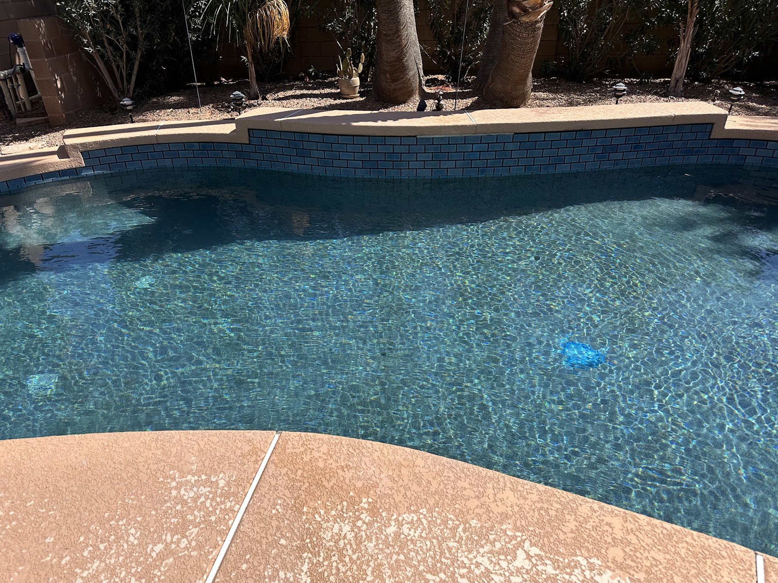 25-Year-Old Pool Complete Renovation